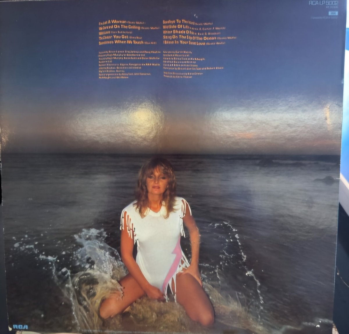 Bonnie Tyler – Goodbye to the Island - BØR BØRSONS BRUKTHANDEL