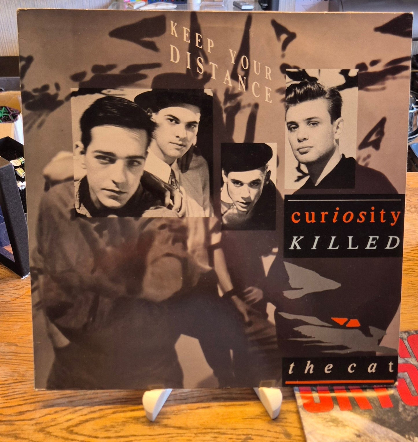 Curiosity Killed The Cat – Keep Your Distance - BØR BØRSONS BRUKTHANDEL