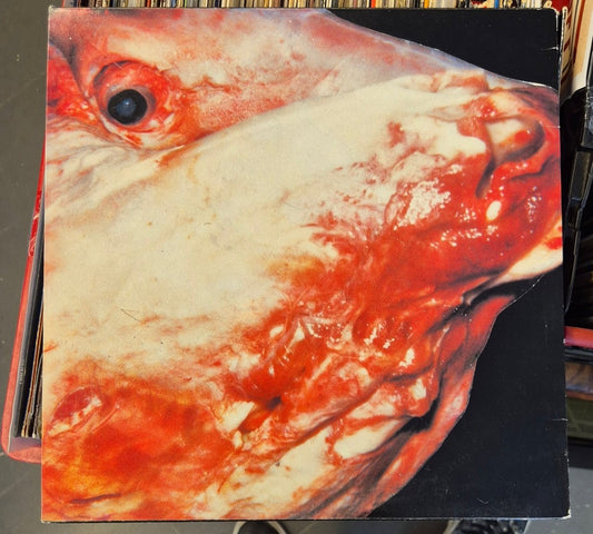 Holy Toy – Why Not In Choir = Czemu Nie W Chórze? (1985 LP) - BØR BØRSONS BRUKTHANDEL