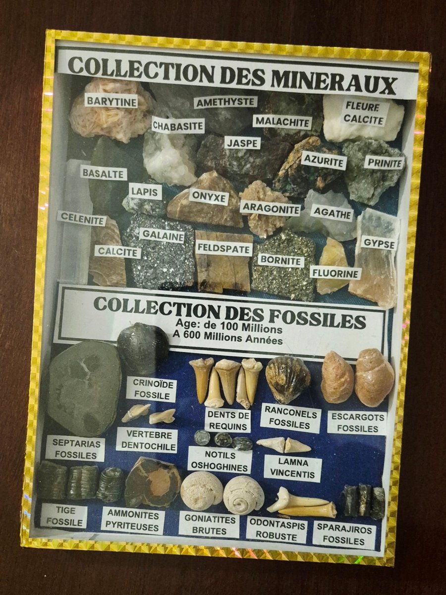 Mineral - og Fossilsamling - BØR BØRSONS BRUKTHANDEL