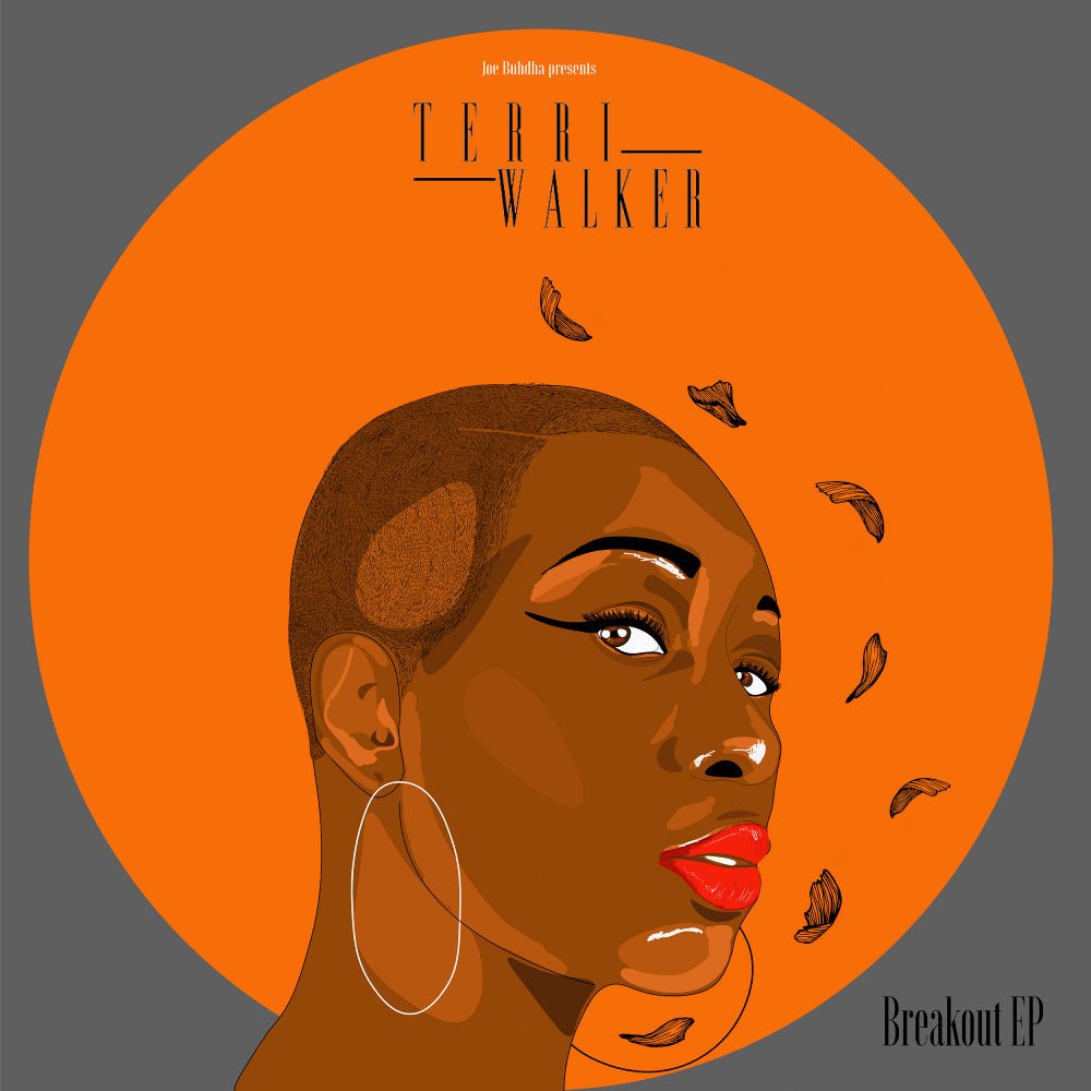 Terri Walker - Breakout EP Vinyl NY - BØR BØRSONS BRUKTHANDEL