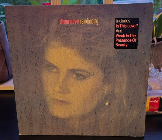 Alison Moyet – Raindancing - BØR BØRSONS BRUKTHANDEL