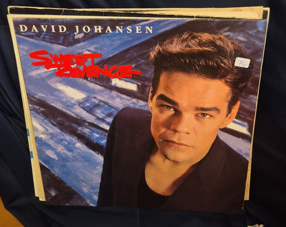 David Johansen – Sweet Revenge (LP) - BØR BØRSONS BRUKTHANDEL