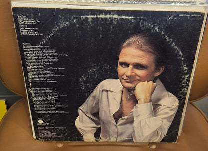 David LaFlamme - White Bird (Vinyl LP) - BØR BØRSONS BRUKTHANDEL