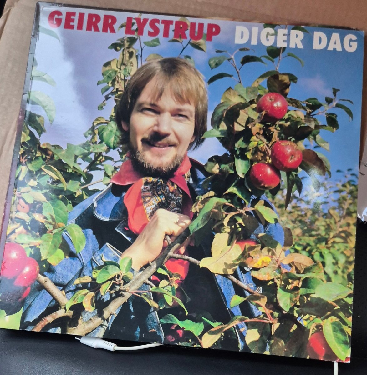 Geirr Lystrup – Diger Dag - BØR BØRSONS BRUKTHANDEL