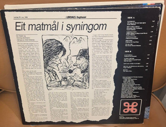 Henning Sommerro - Neonlys på Ivar Aasen (Vinyl LP) - BØR BØRSONS BRUKTHANDEL