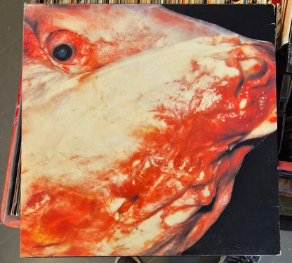 Holy Toy – Why Not In Choir = Czemu Nie W Chórze? (1985 LP) - BØR BØRSONS BRUKTHANDEL