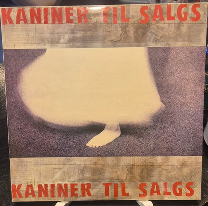 Kaniner Til Salgs - BØR BØRSONS BRUKTHANDEL