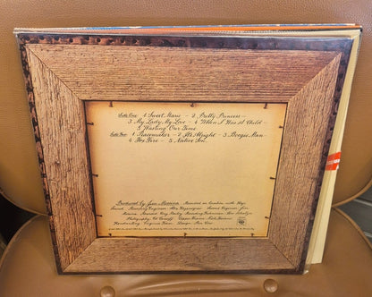 Loggins & Messina - Native Sons (Vinyl LP) - BØR BØRSONS BRUKTHANDEL
