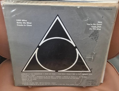 Loveslug - Snail House Rock (12" Vinyl LP) - BØR BØRSONS BRUKTHANDEL