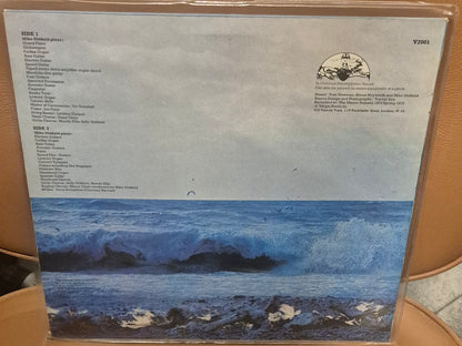 Mike Oldfield - Tubular Bells LP baksiden