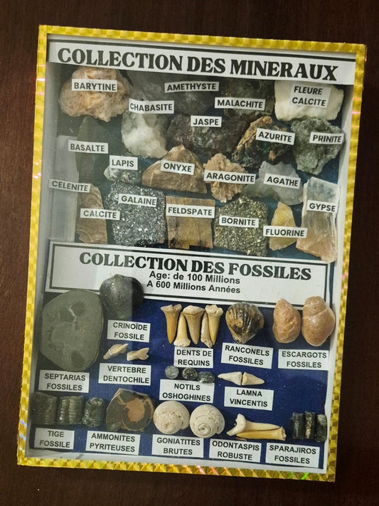 Mineral - og Fossilsamling - BØR BØRSONS BRUKTHANDEL