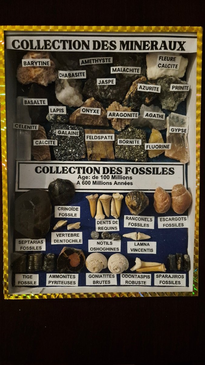 Mineral - og Fossilsamling - BØR BØRSONS BRUKTHANDEL