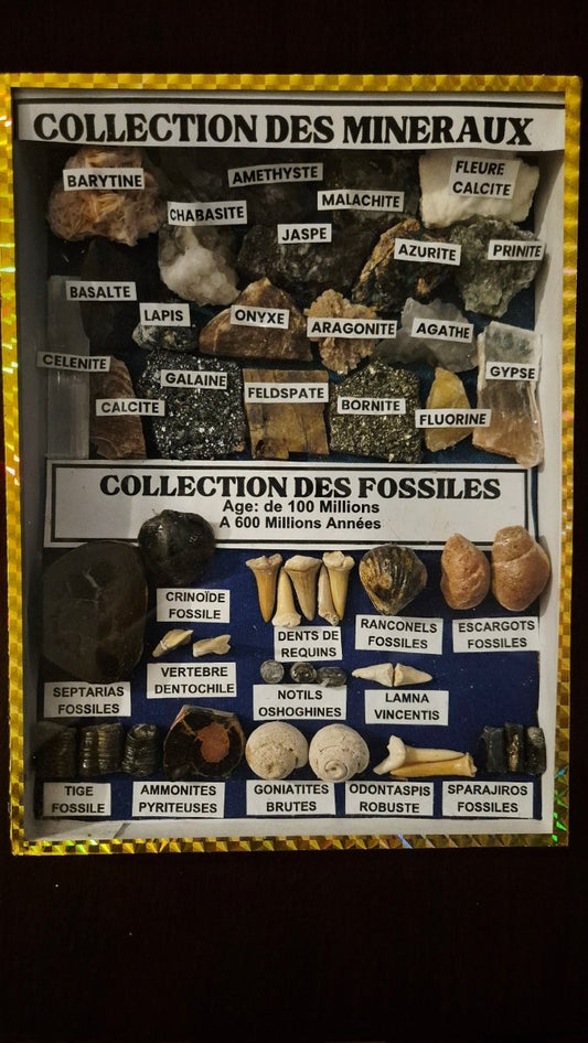 Mineral - og Fossilsamling - BØR BØRSONS BRUKTHANDEL