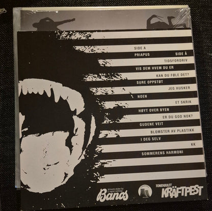 Norsk Råkk - Pløyd Mark (LP) - BØR BØRSONS BRUKTHANDEL