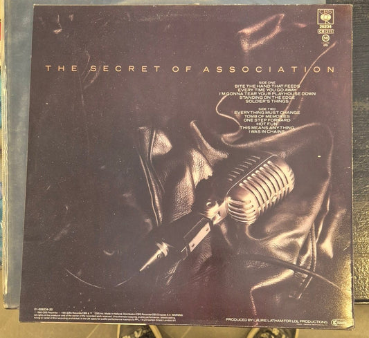 Paul Young - The Secret of Association - BØR BØRSONS BRUKTHANDEL