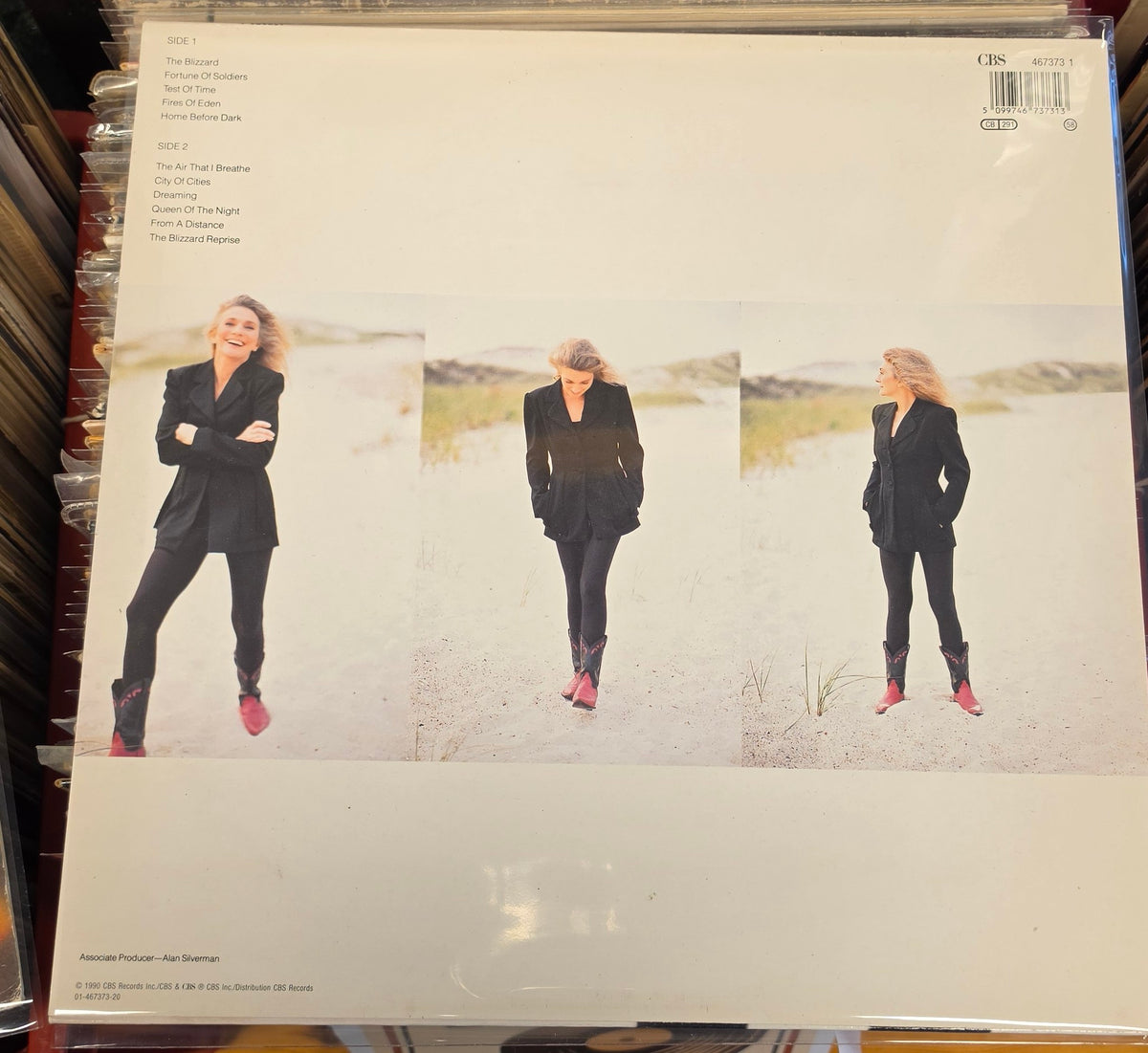 Judy Collins - Fires of Eden (VG+/VG+)