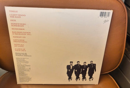 Tease - Remember (LP) - BØR BØRSONS BRUKTHANDEL