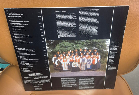 Trondheim Kammerkor & Norunn Illevold Giske – "Denne song er meg kjær" Vinyl LP - BØR BØRSONS BRUKTHANDEL