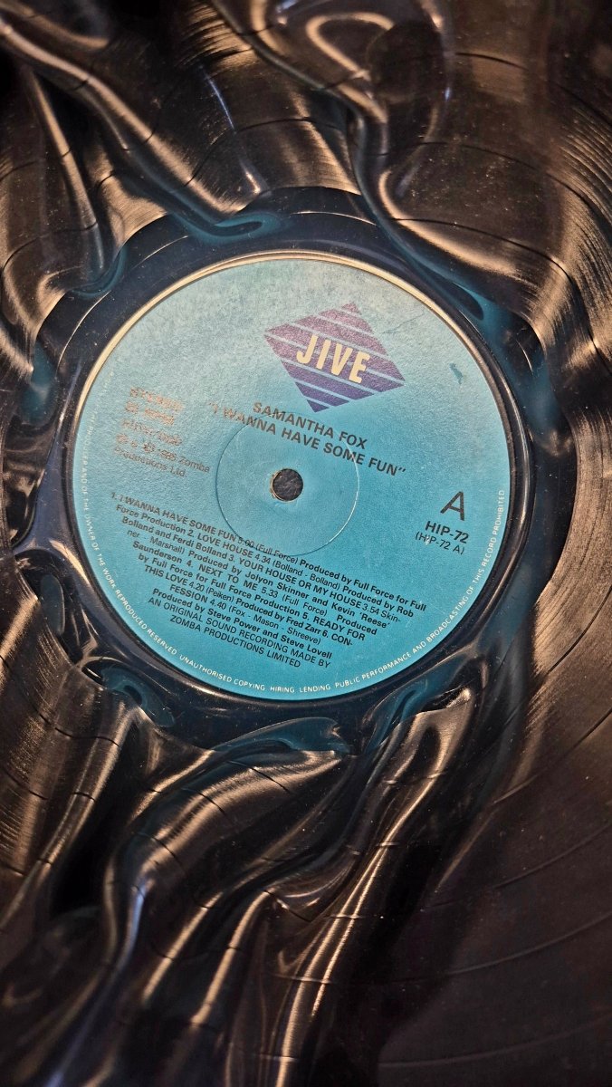 Vinylskål - Samantha Fox 'I Wanna Have Some Fun' - BØR BØRSONS BRUKTHANDEL
